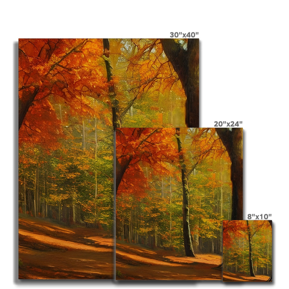 Forest kissed by Autumn  Canvas Prodigi