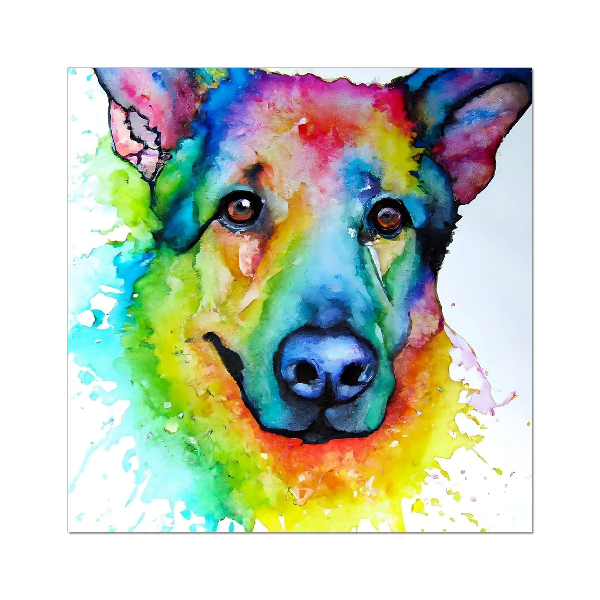 Rainbow Shepherd Dog  Fine Art Print Prodigi