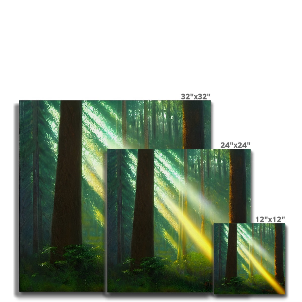 A Ray of Light in the Forest Canvas Prodigi