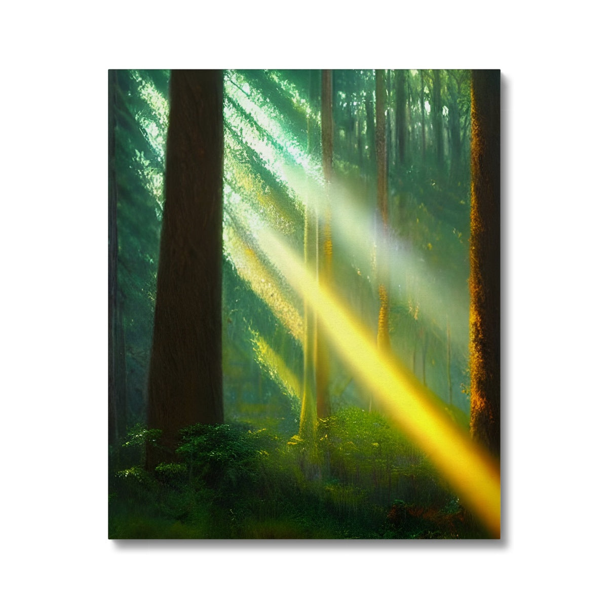 A Ray of Light in the Forest Canvas Prodigi