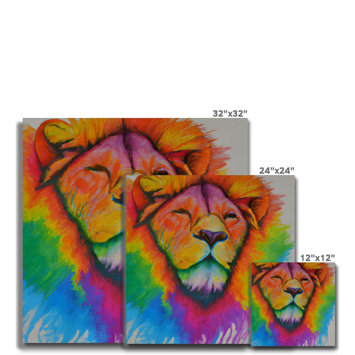 Rainbow Lion Canvas Prodigi