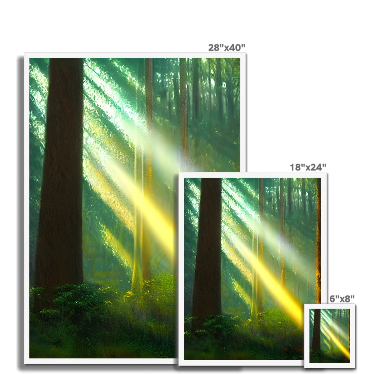 A Ray of Light in the Forest Framed Print Prodigi