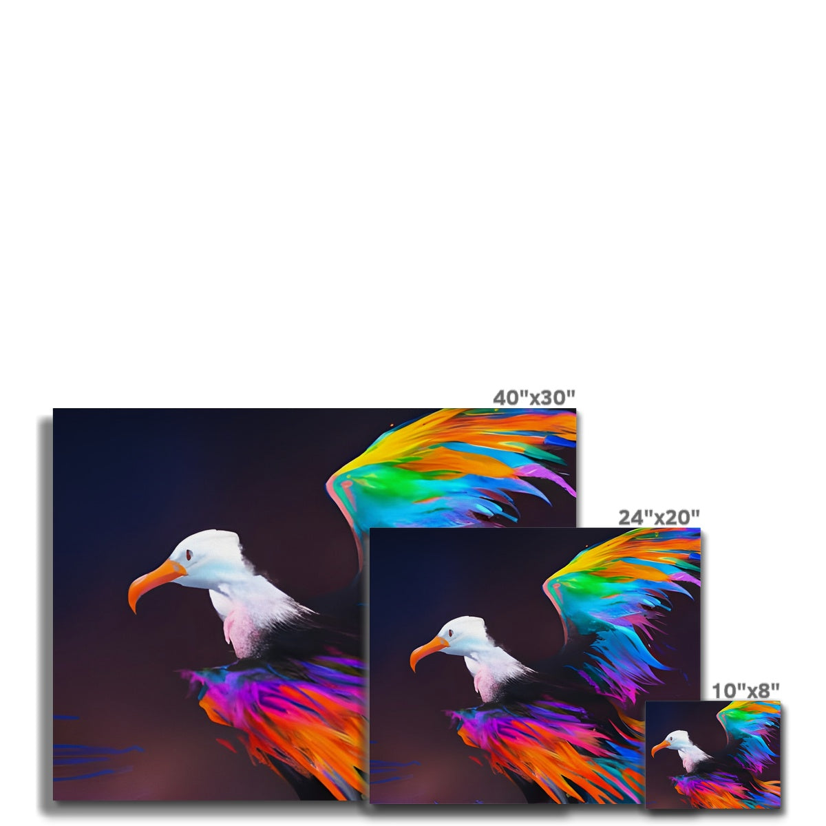 Albatross with spread wings Canvas Prodigi