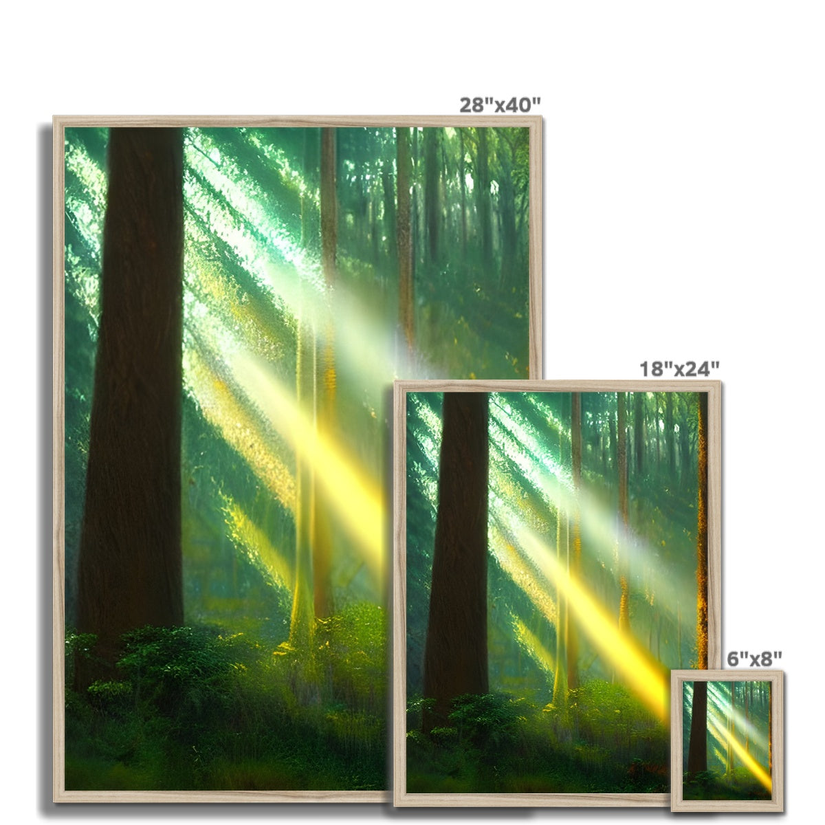 A Ray of Light in the Forest Framed Print Prodigi