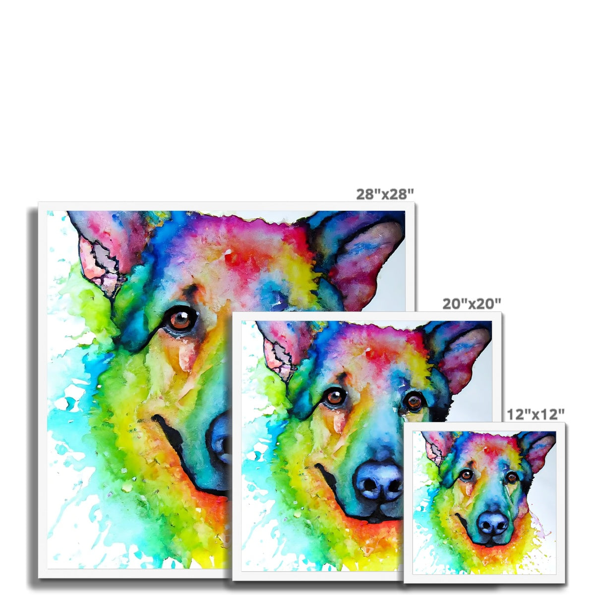 Rainbow Shepherd Dog  Framed Print Prodigi