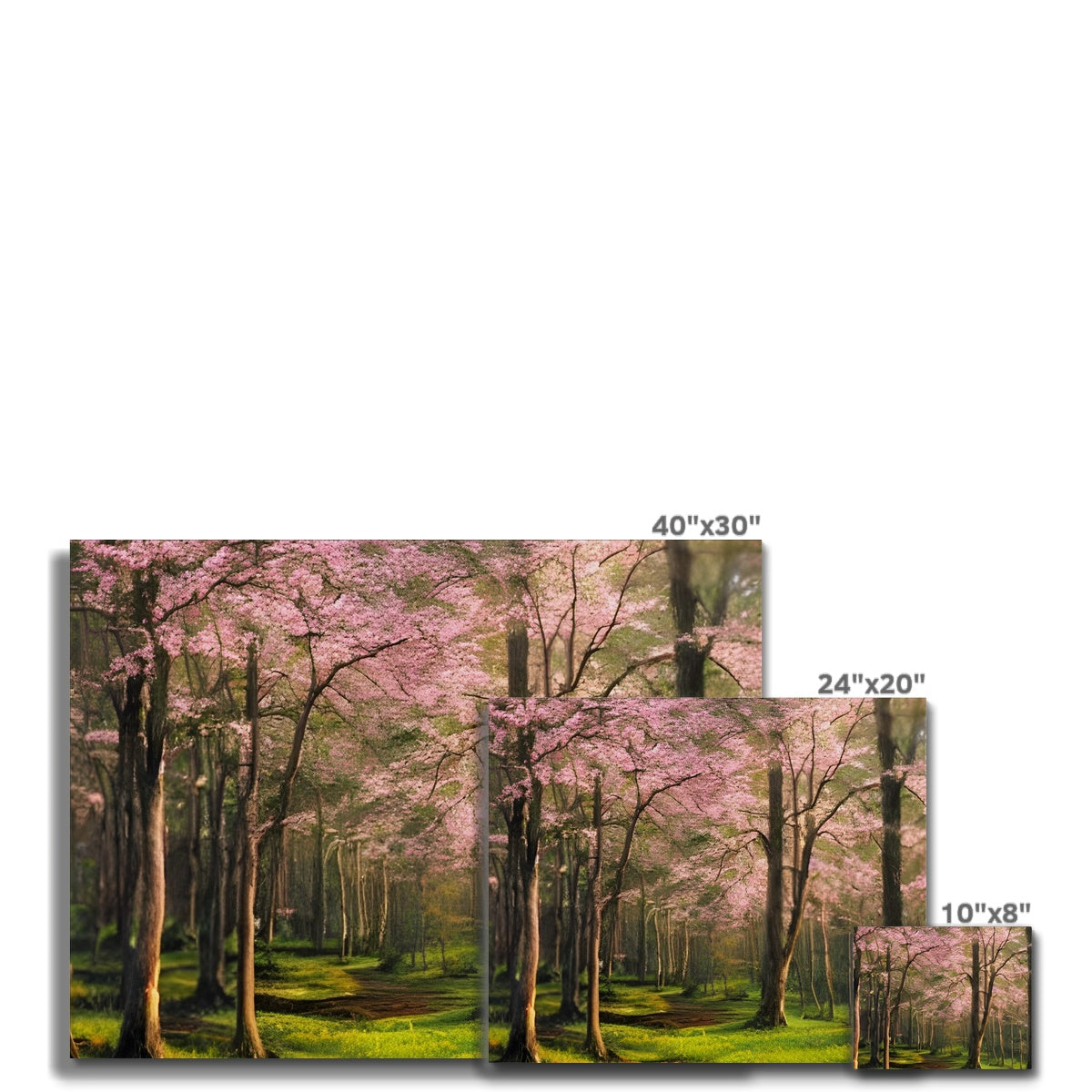 Cherry Blossom in a Forest Canvas Prodigi