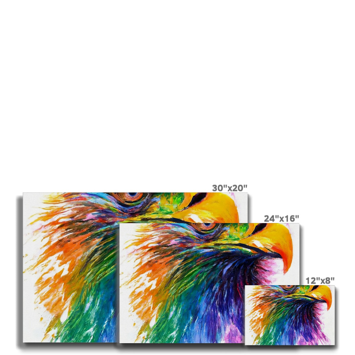 Rainbow Eagle Eco Canvas Prodigi