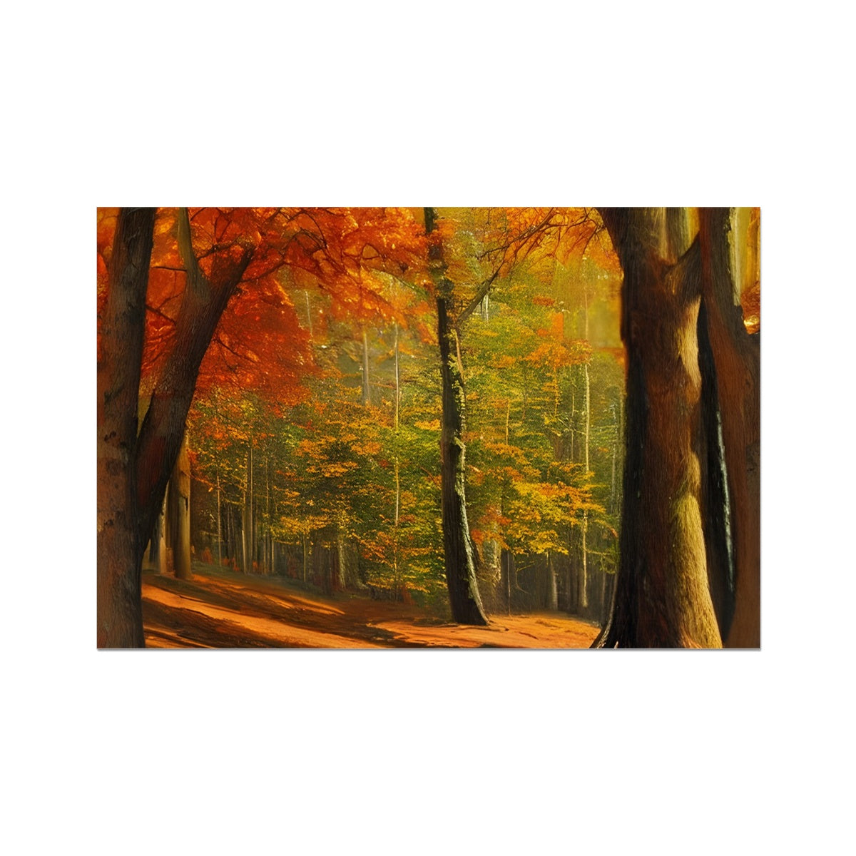 Forest kissed by Autumn  Fine Art Print Prodigi