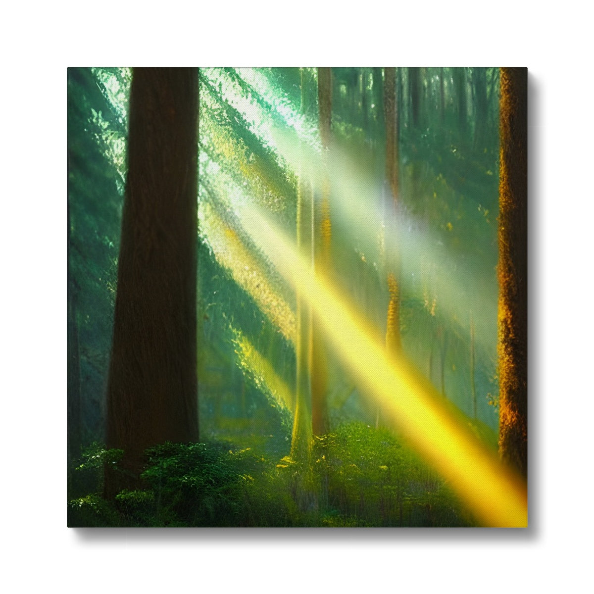 A Ray of Light in the Forest Eco Canvas Prodigi