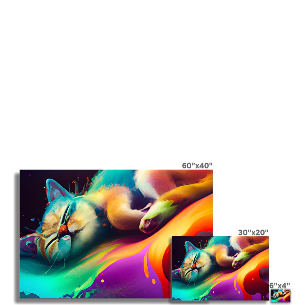 Surfing Lazy Cat Fine Art Print Prodigi