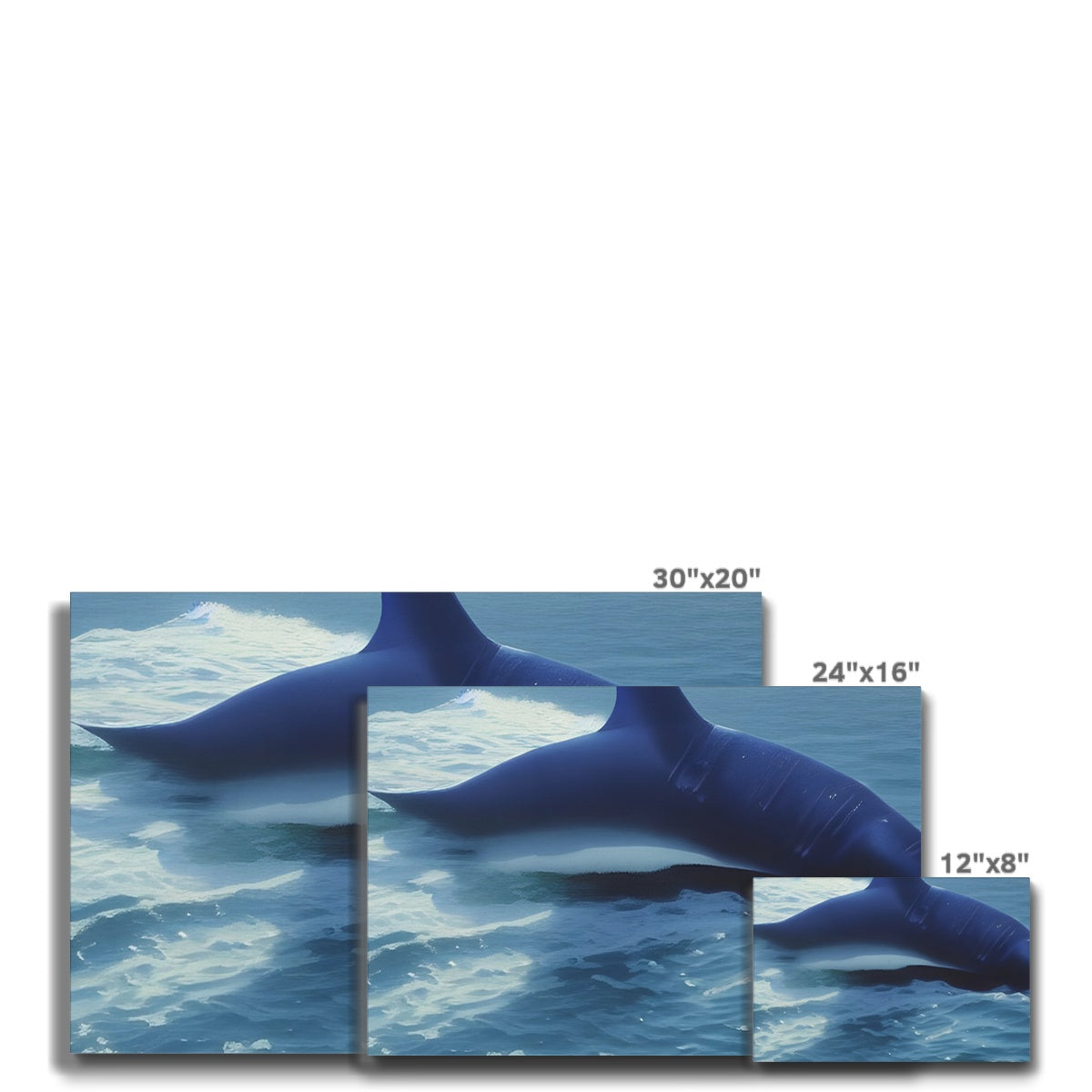 Fluke In The Ocean Eco Canvas Prodigi