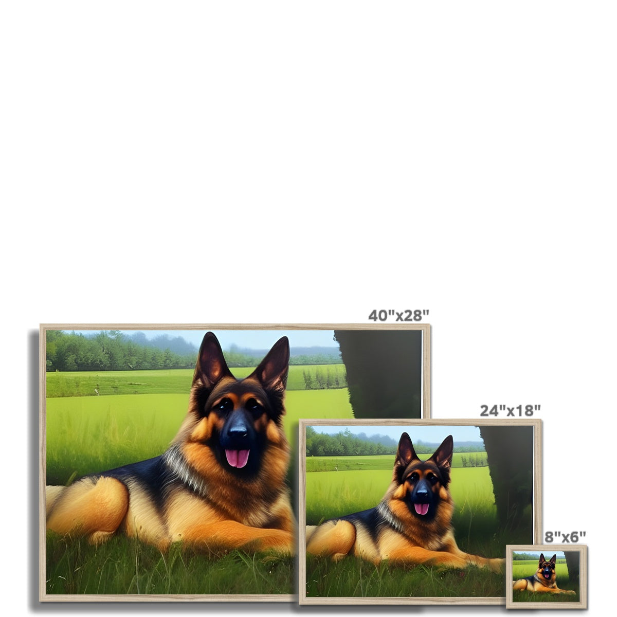 Dog Laying in a Field Framed Print Prodigi