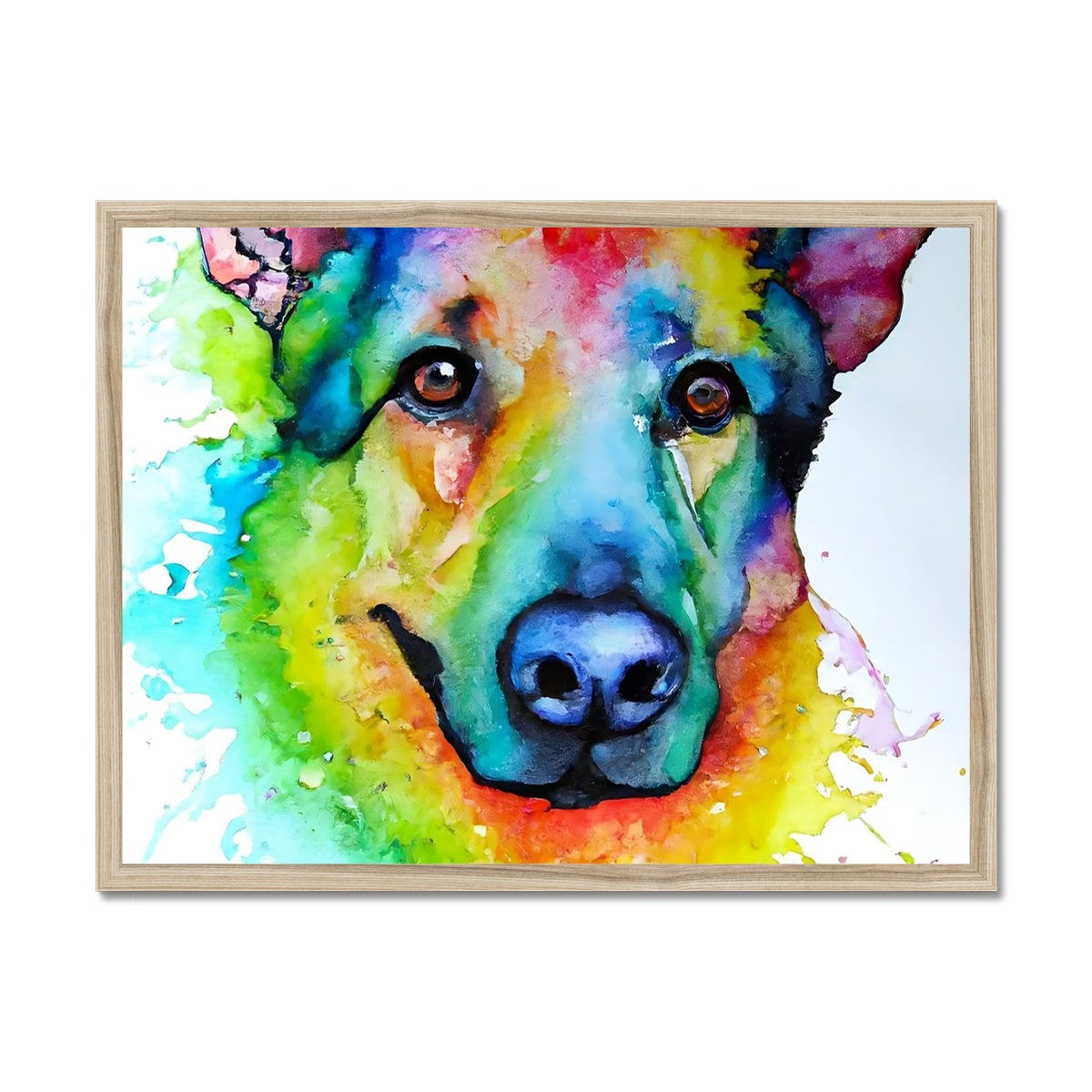 Rainbow Shepherd Dog  Framed Print Prodigi