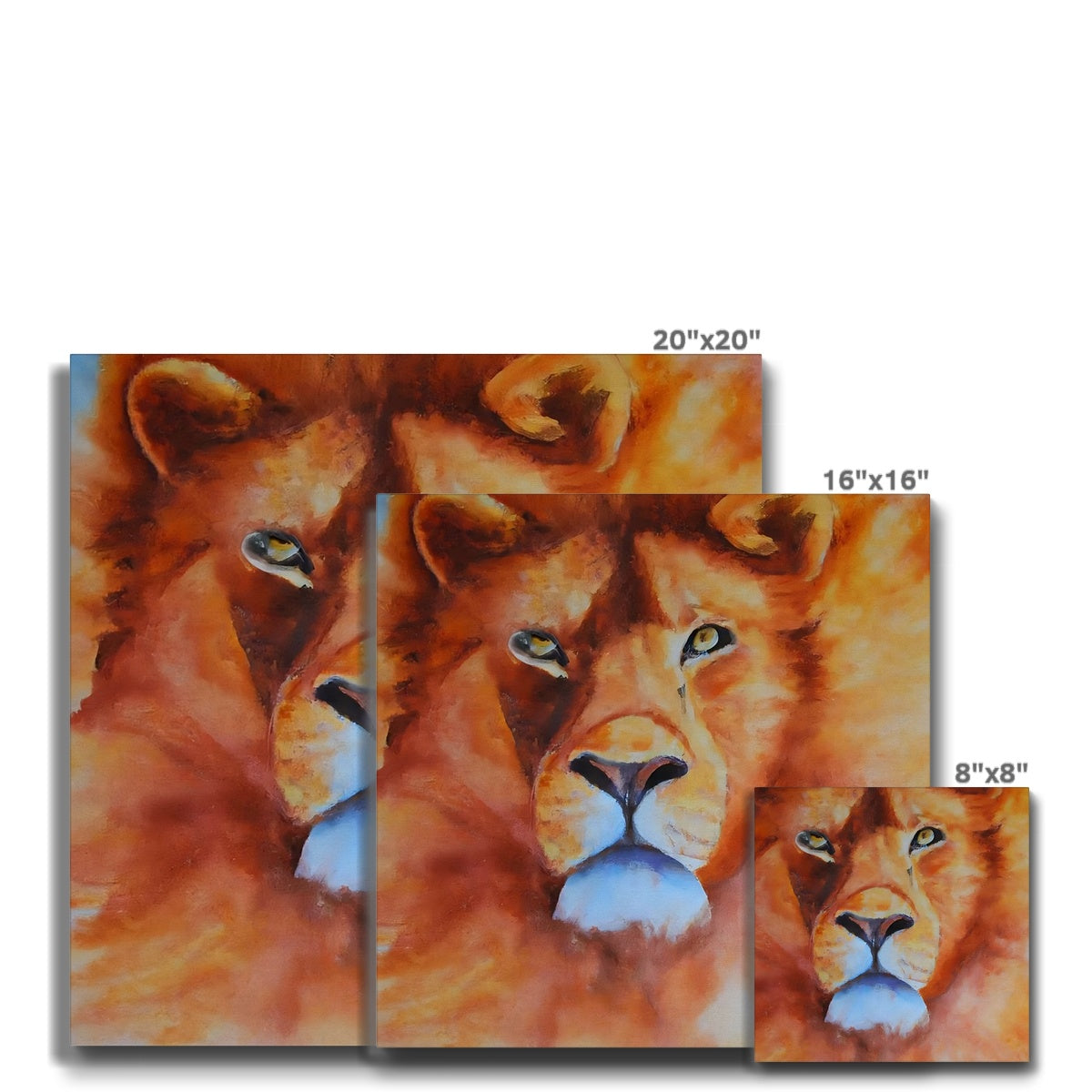 Majestic Lion Eco Canvas Prodigi