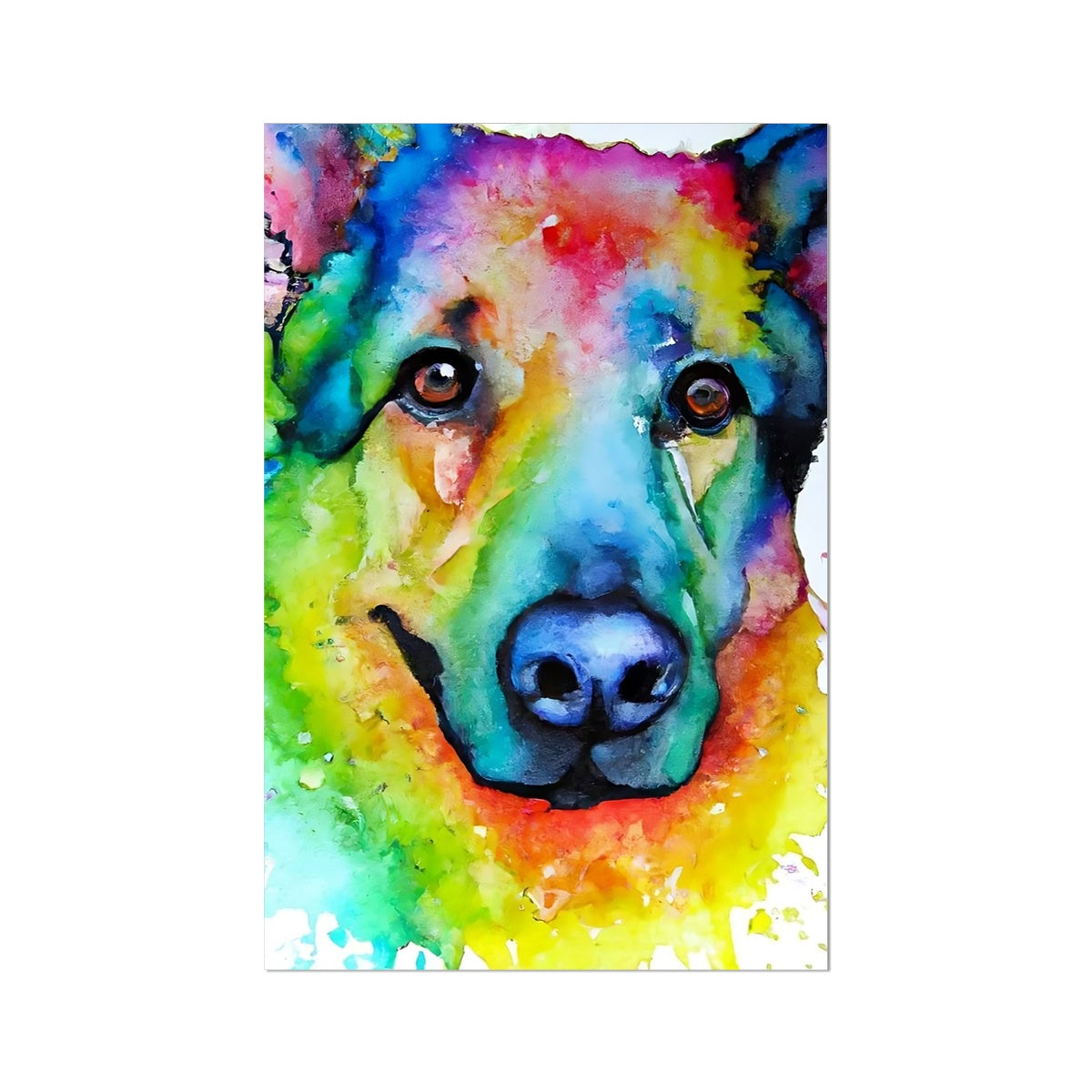 Rainbow Shepherd Dog  Fine Art Print Prodigi