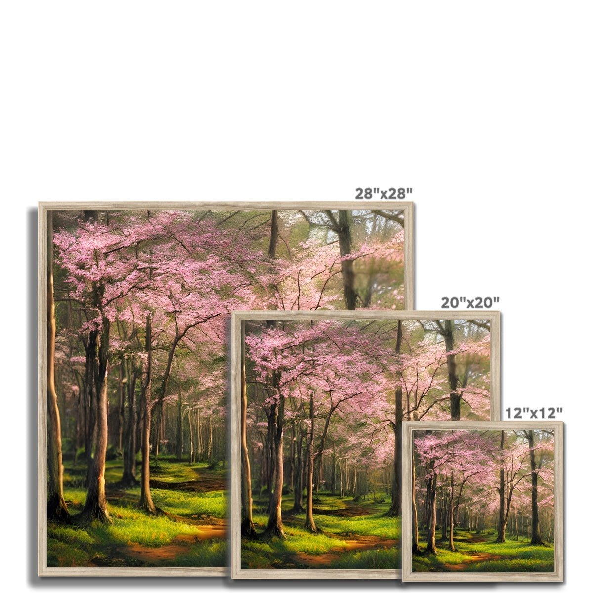 Cherry Blossom in a Forest Framed Print Prodigi