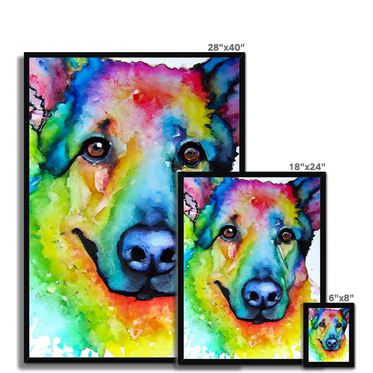 Rainbow Shepherd Dog  Framed Print Prodigi