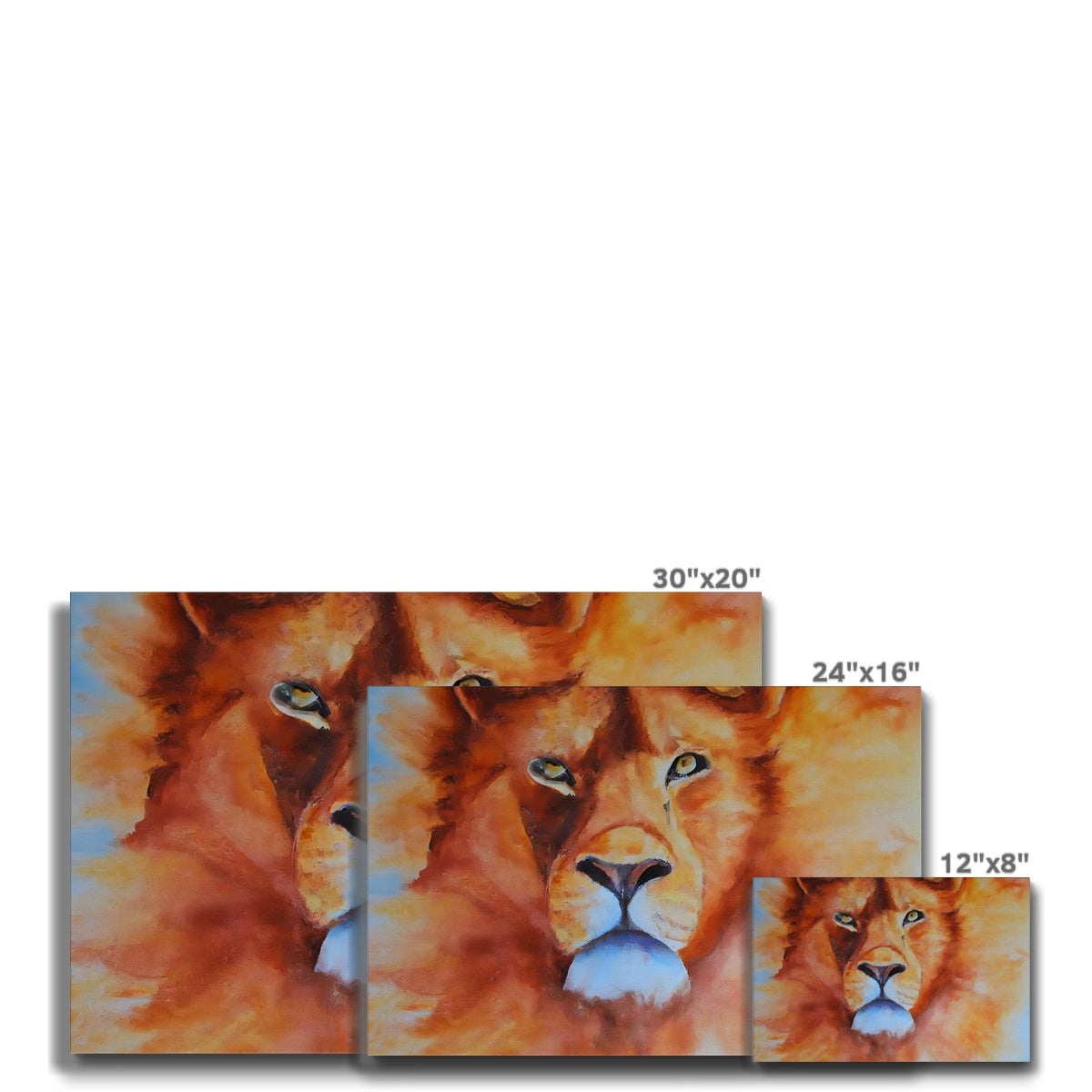 Majestic Lion Eco Canvas Prodigi