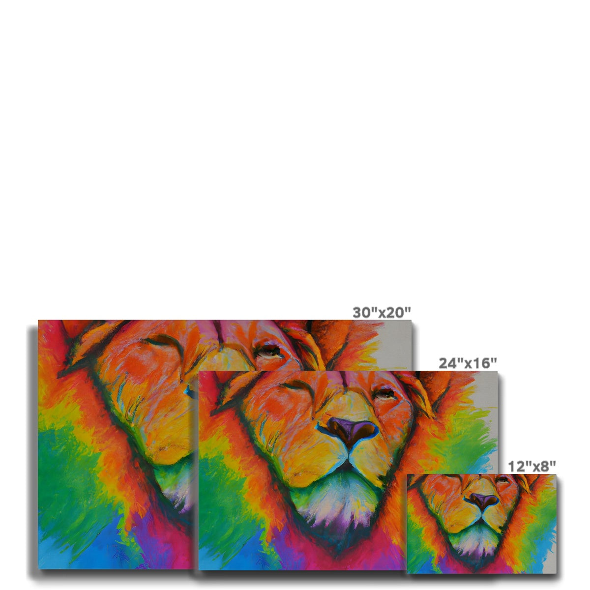 Rainbow Lion Eco Canvas Prodigi