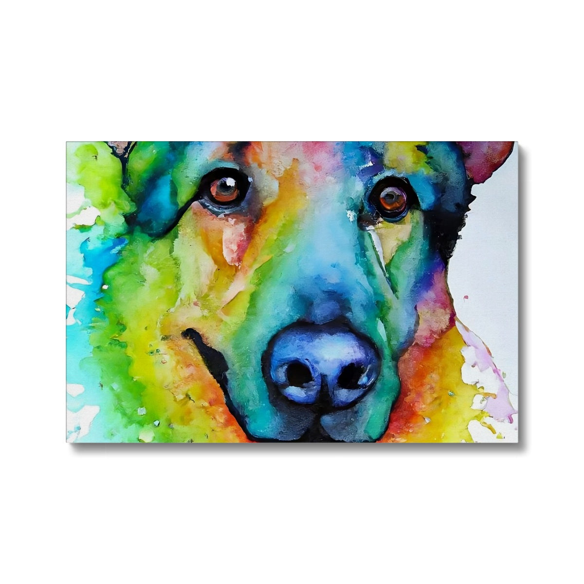 Rainbow Shepherd Dog  Eco Canvas Prodigi