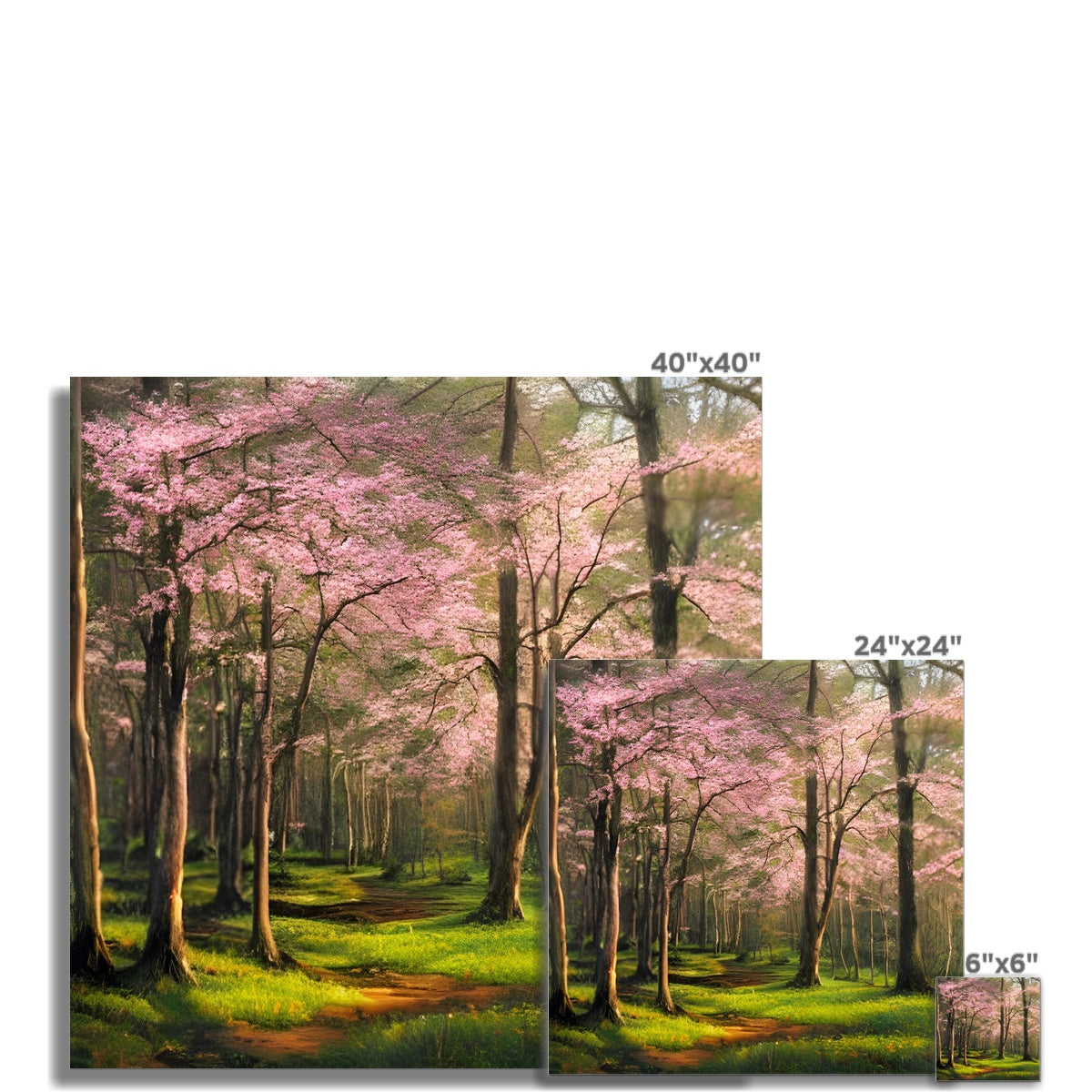 Cherry Blossom in a Forest Fine Art Print Prodigi