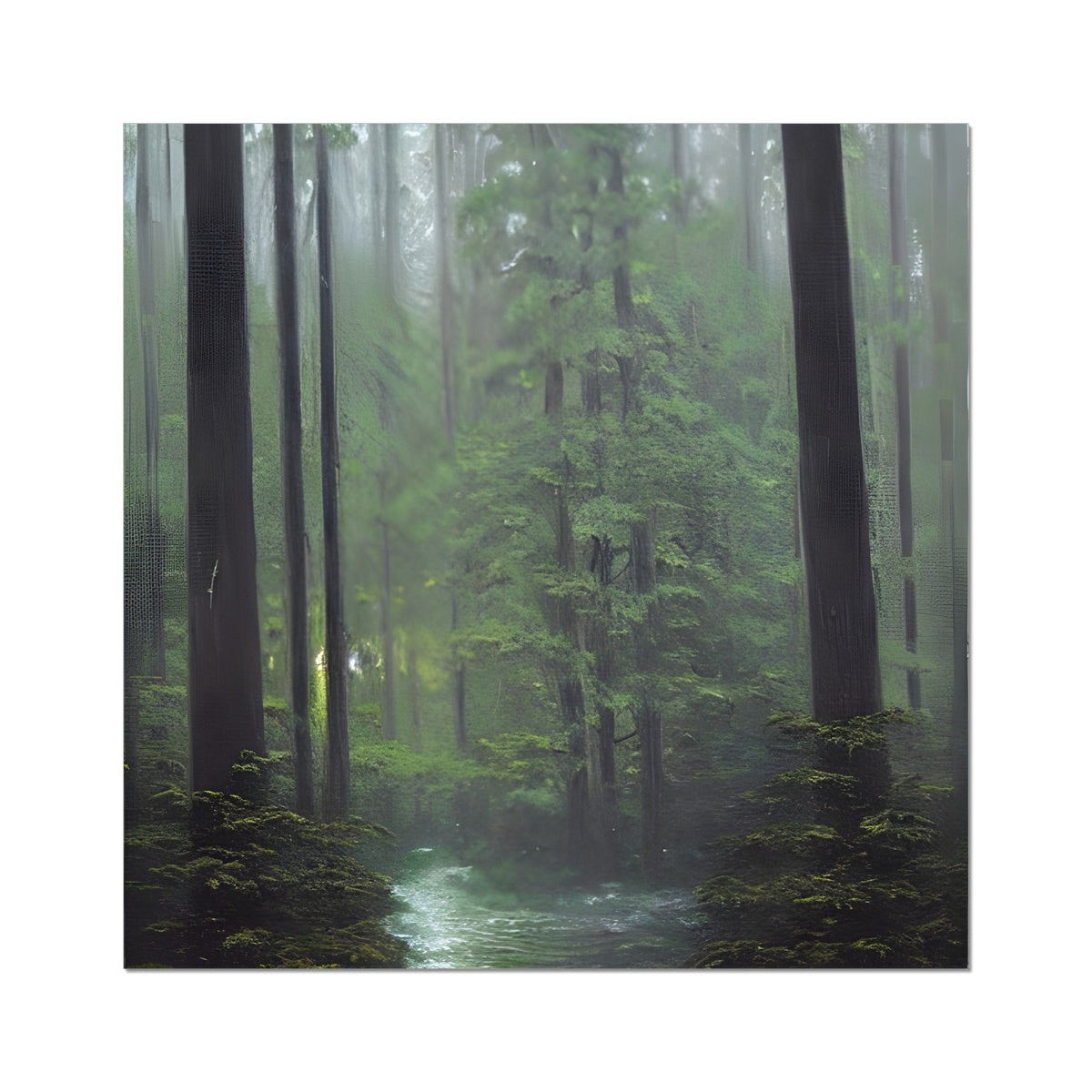 Rainy Forest Fine Art Print Prodigi