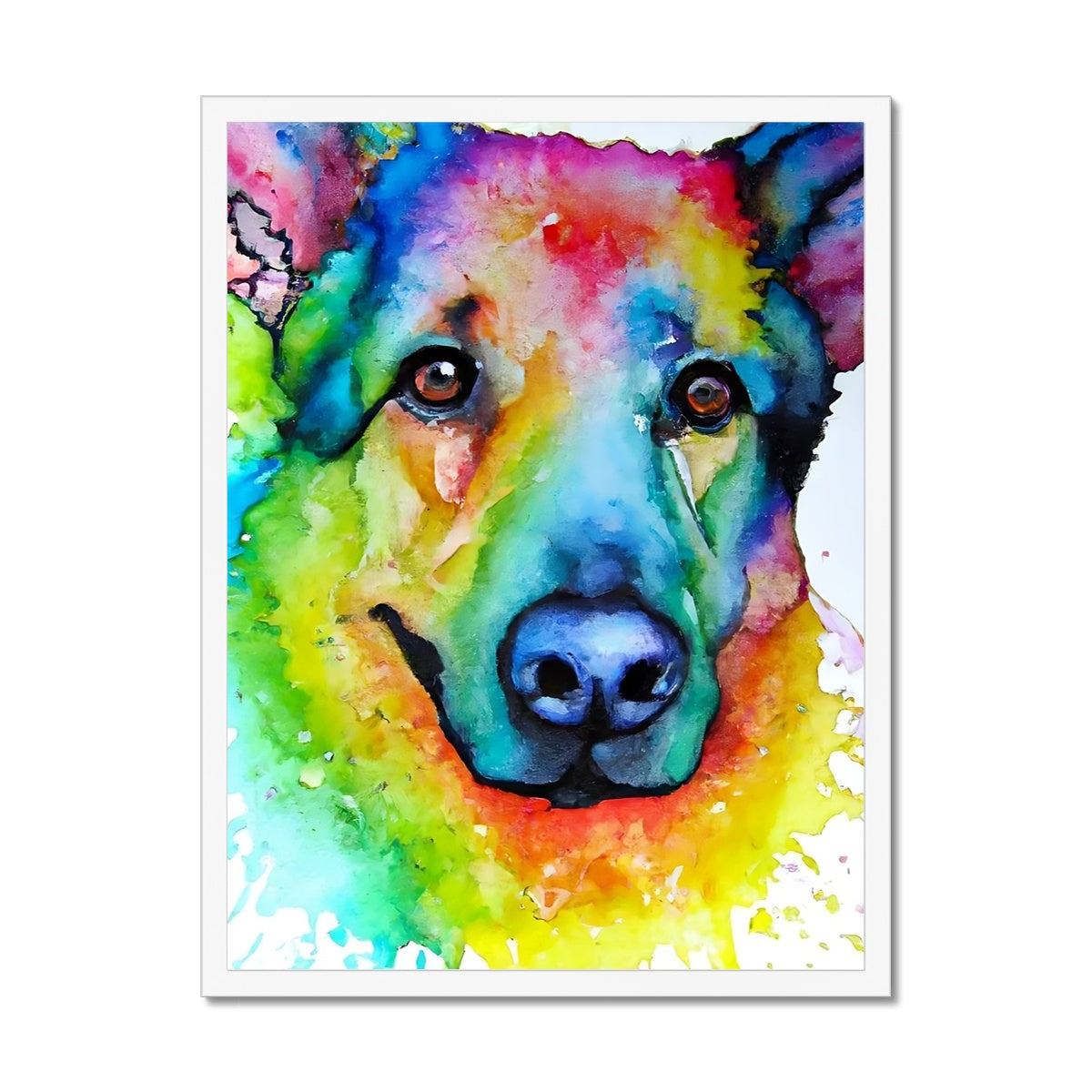 Rainbow Shepherd Dog  Framed Print Prodigi