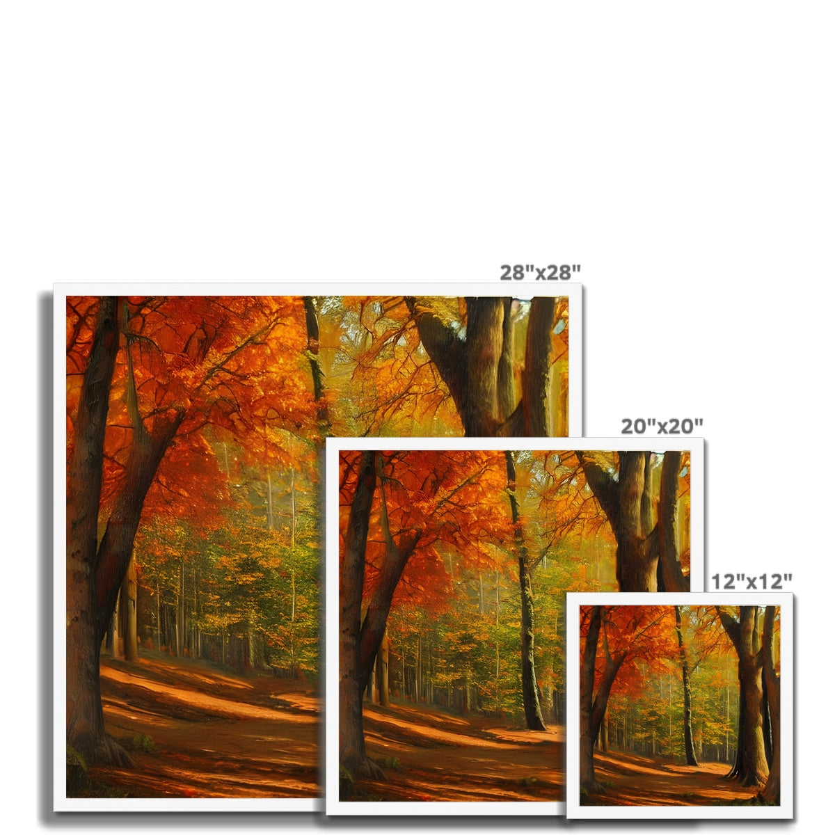 Forest kissed by Autumn  Framed Print Prodigi