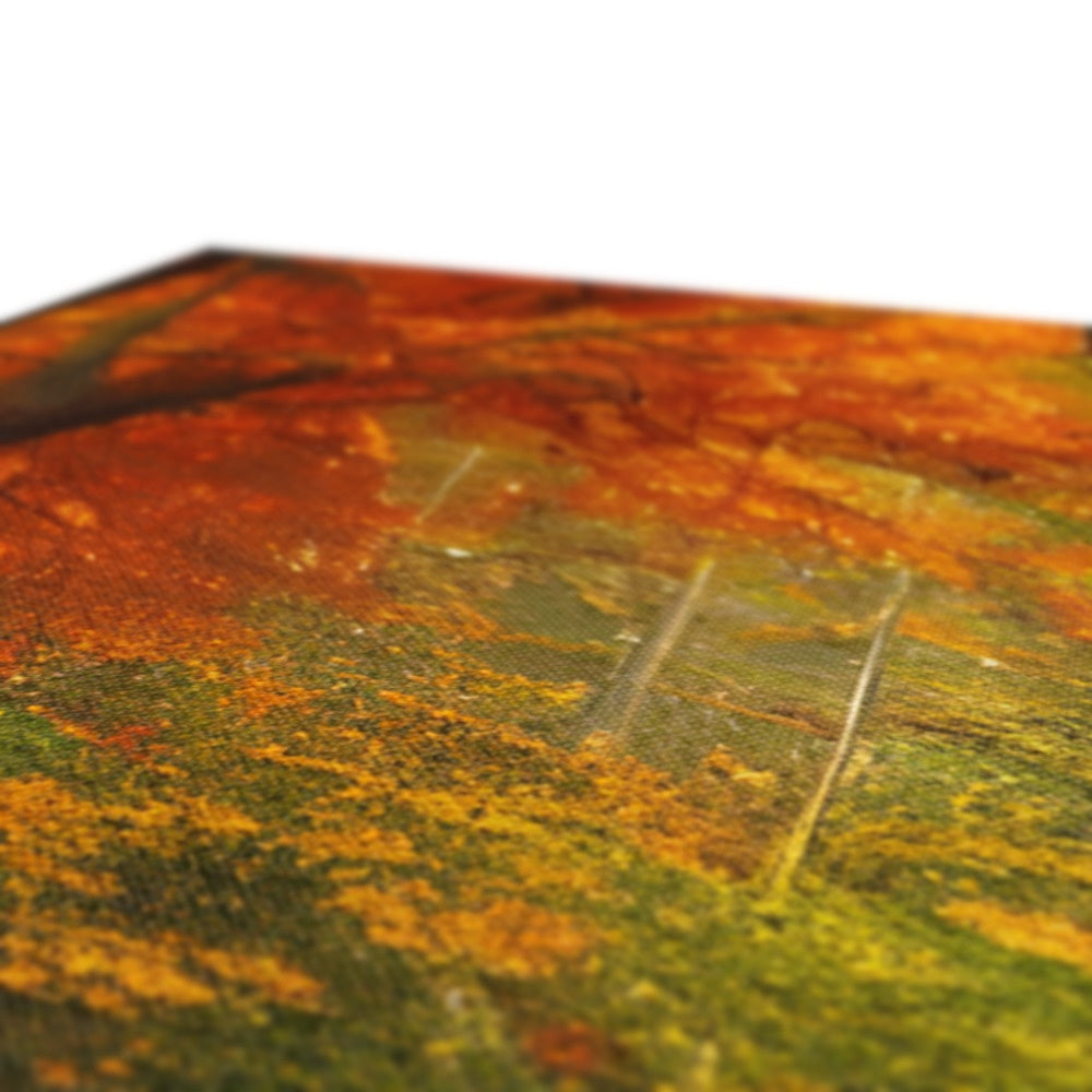 Forest kissed by Autumn  Eco Canvas Prodigi