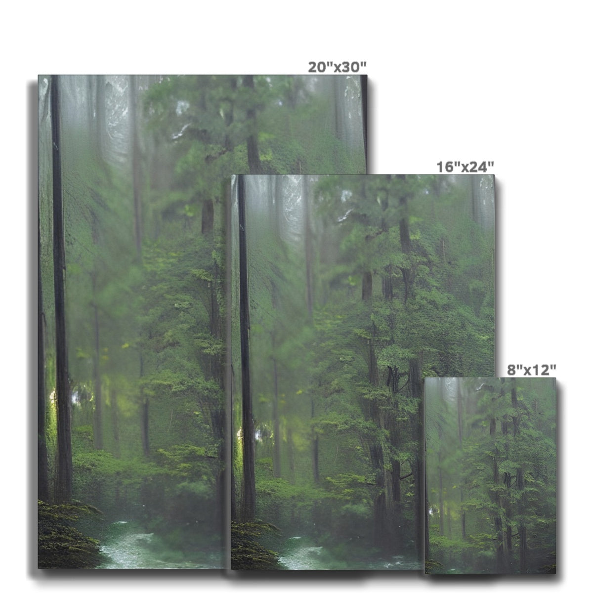 Rainy Forest Eco Canvas Prodigi