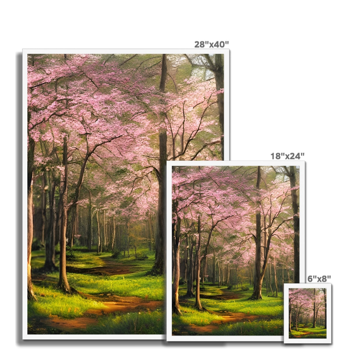 Cherry Blossom in a Forest Framed Print Prodigi