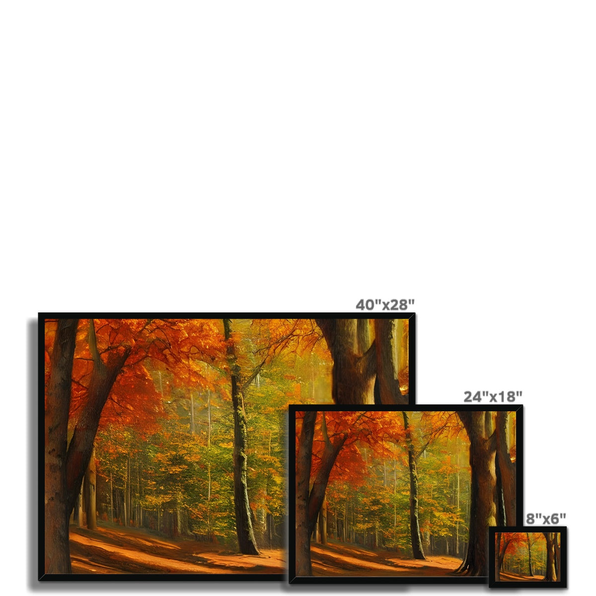 Forest kissed by Autumn  Framed Print Prodigi