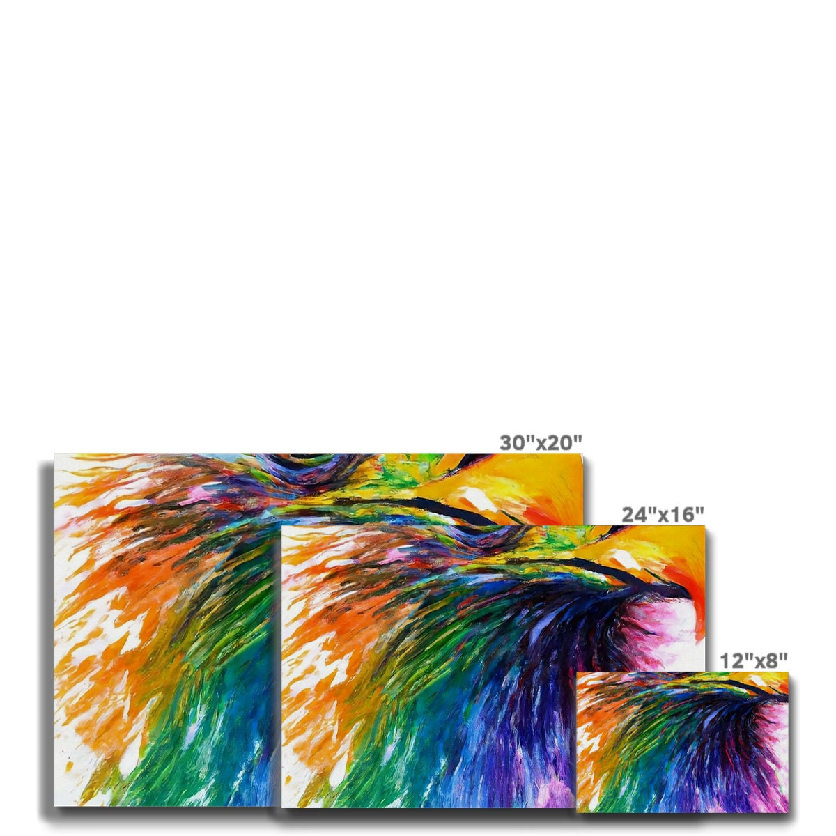 Rainbow Eagle Eco Canvas Prodigi