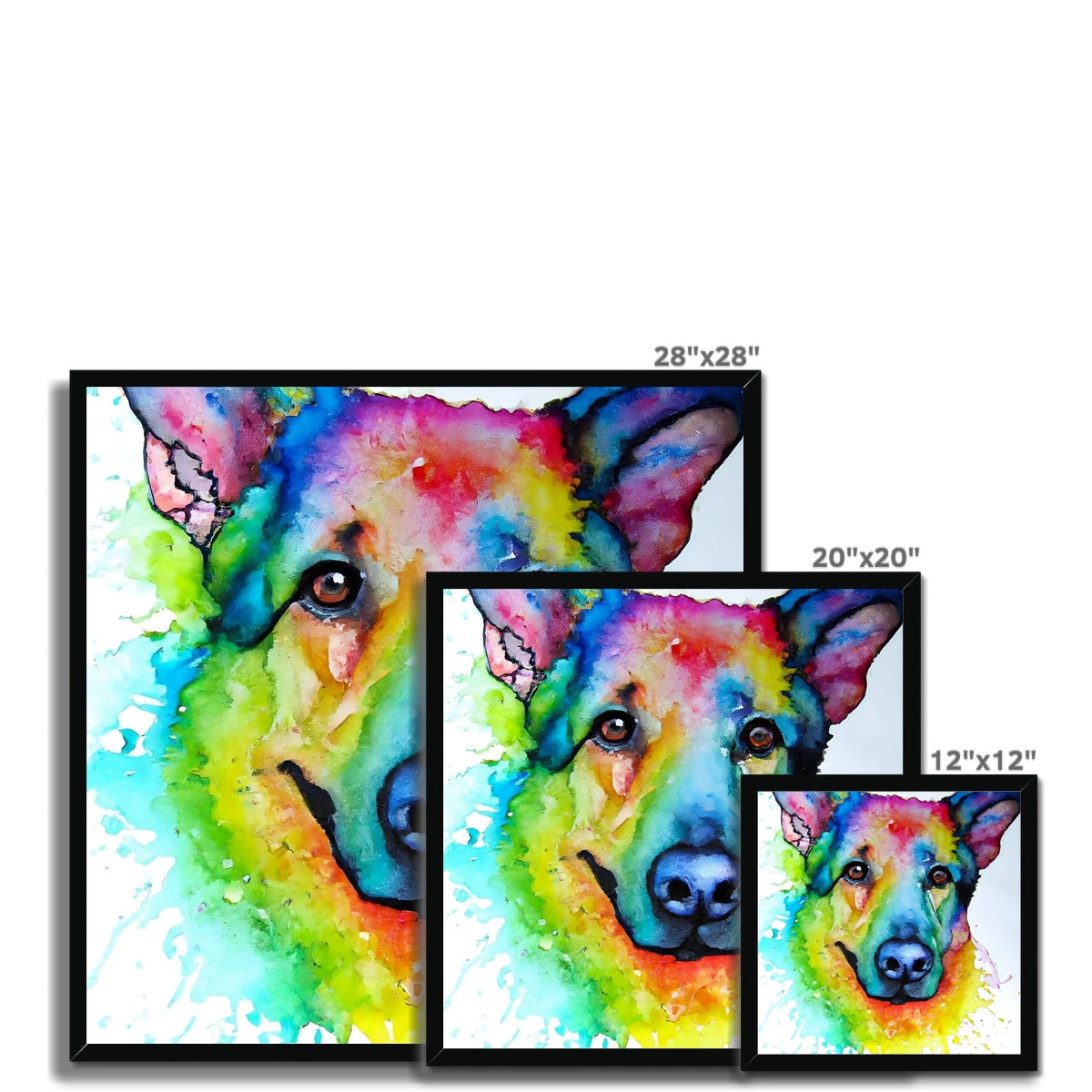 Rainbow Shepherd Dog  Framed Print Prodigi