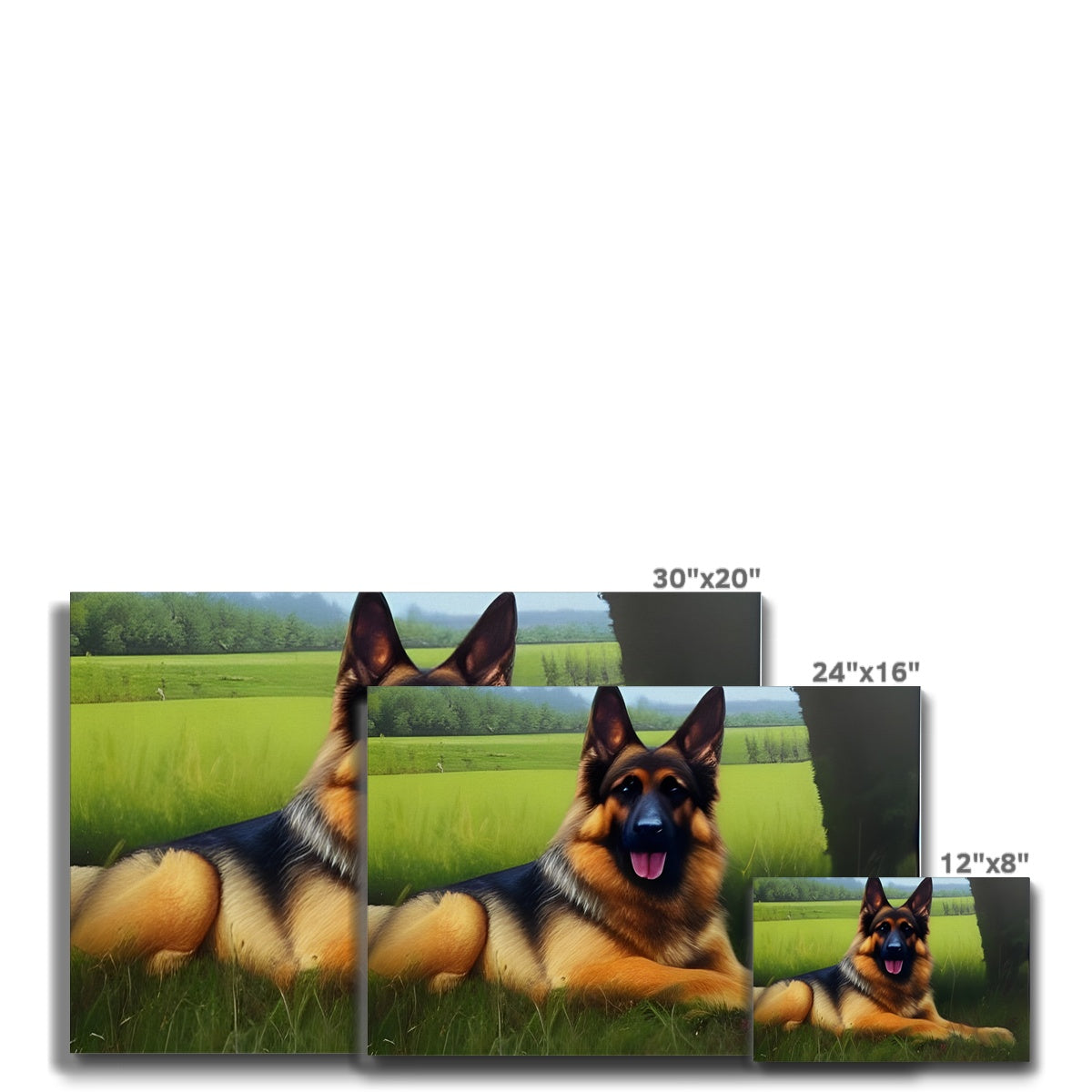 Dog Laying in a Field Eco Canvas Prodigi