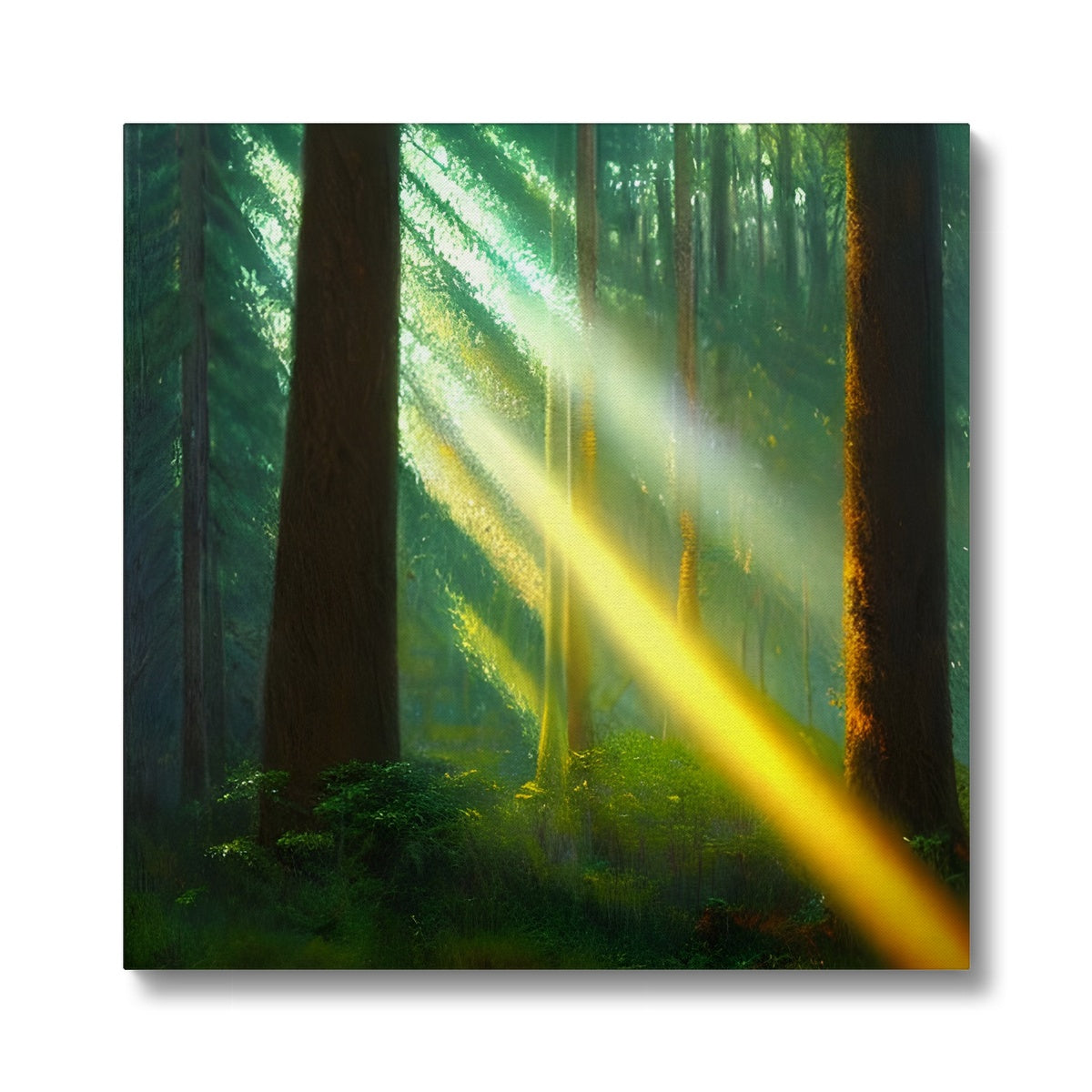 A Ray of Light in the Forest Eco Canvas Prodigi