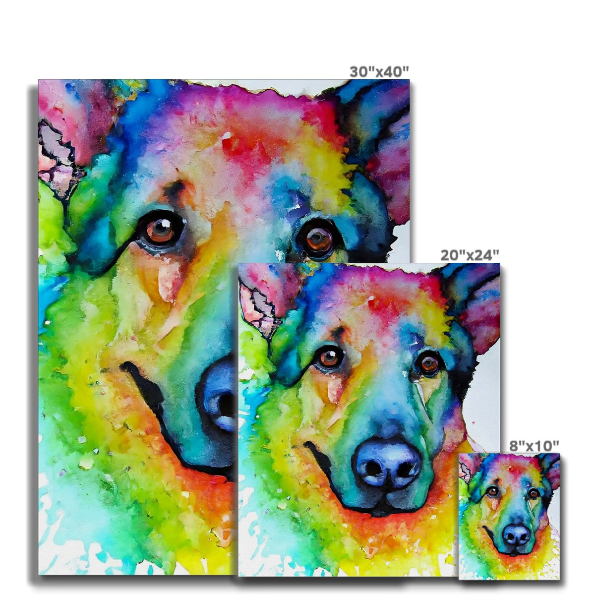 Rainbow Shepherd Dog  Canvas Prodigi