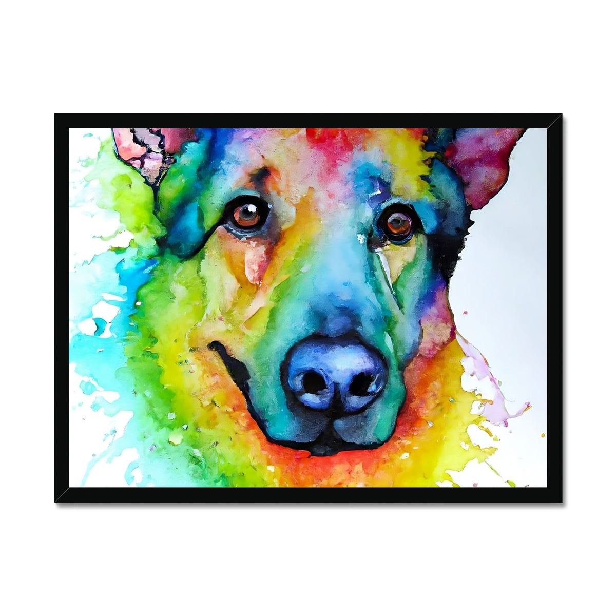 Rainbow Shepherd Dog  Framed Print Prodigi