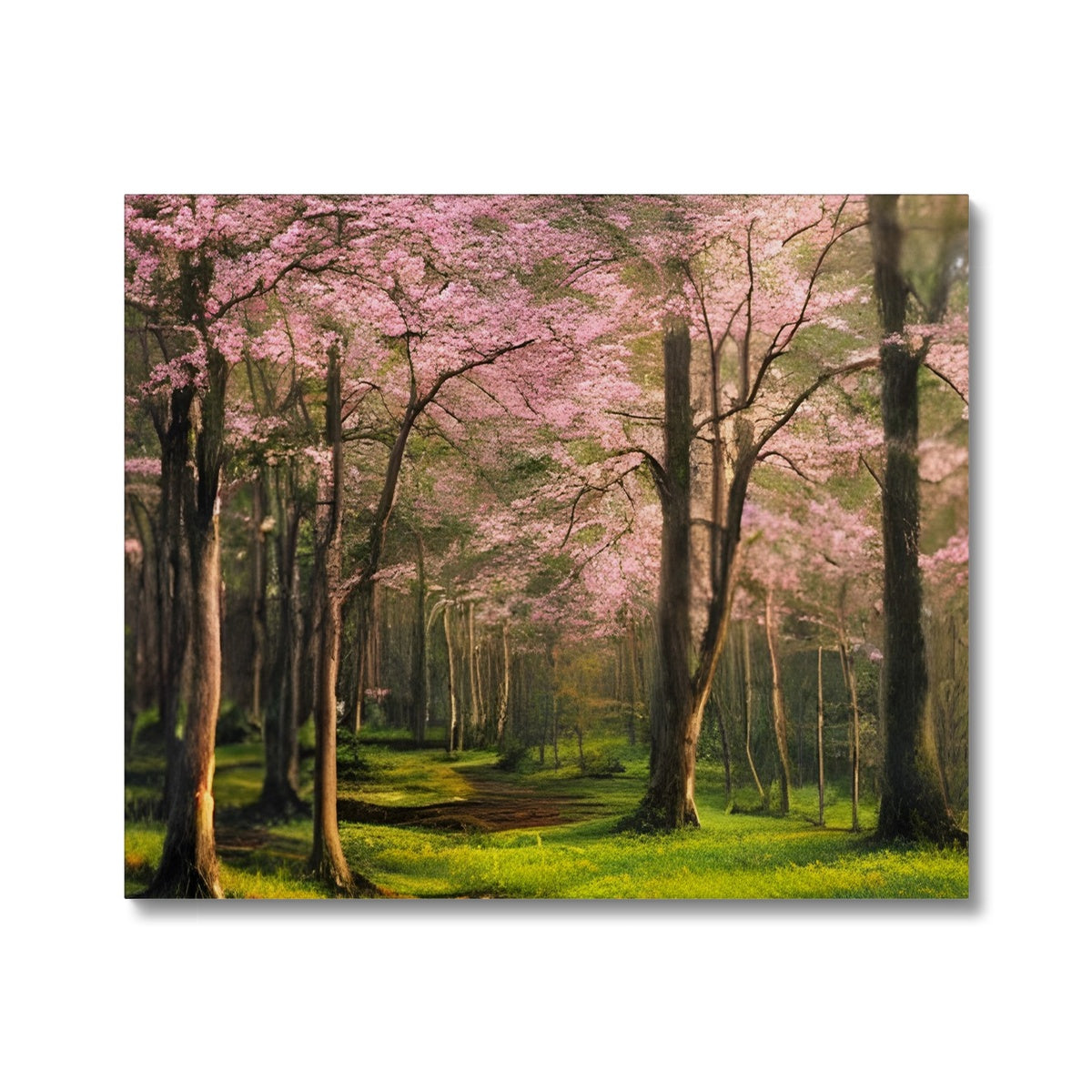 Cherry Blossom in a Forest Canvas Prodigi