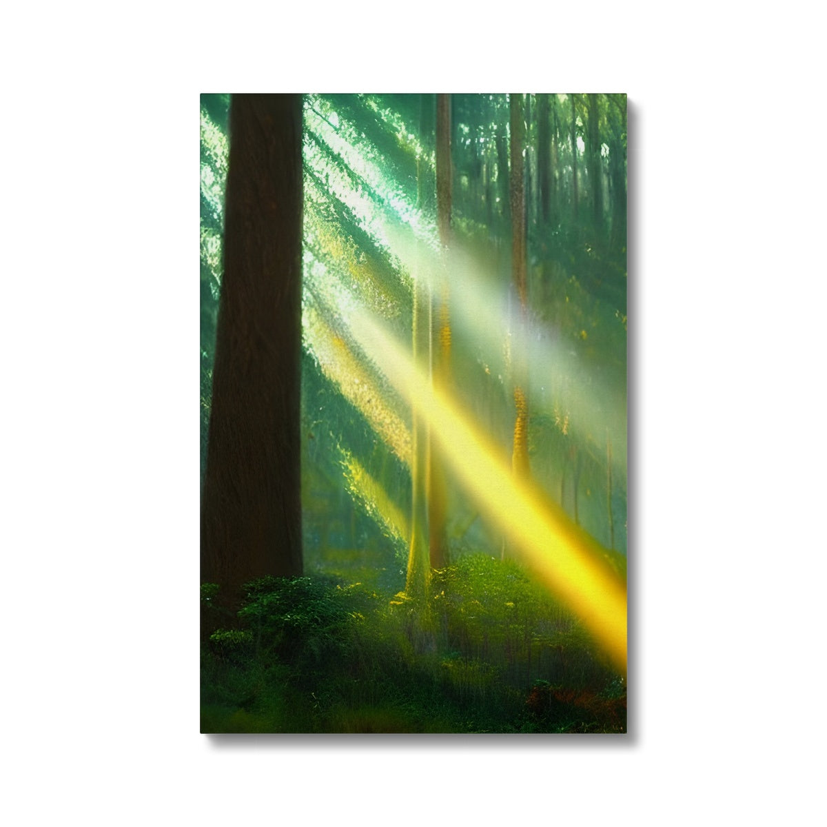 A Ray of Light in the Forest Eco Canvas Prodigi