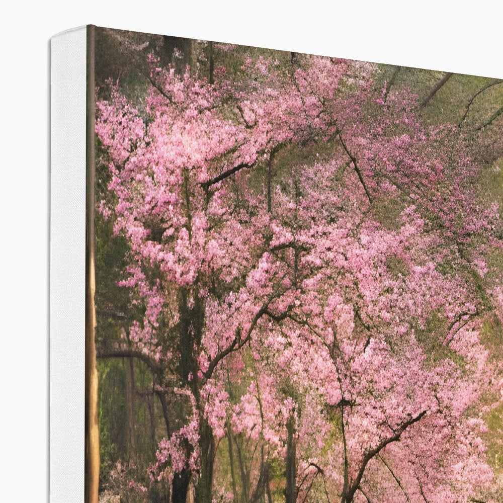 Cherry Blossom in a Forest Eco Canvas Prodigi