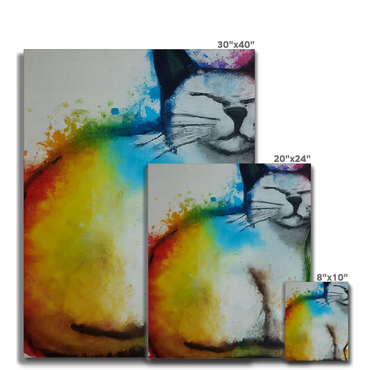 Rainbow Cat Canvas Prodigi