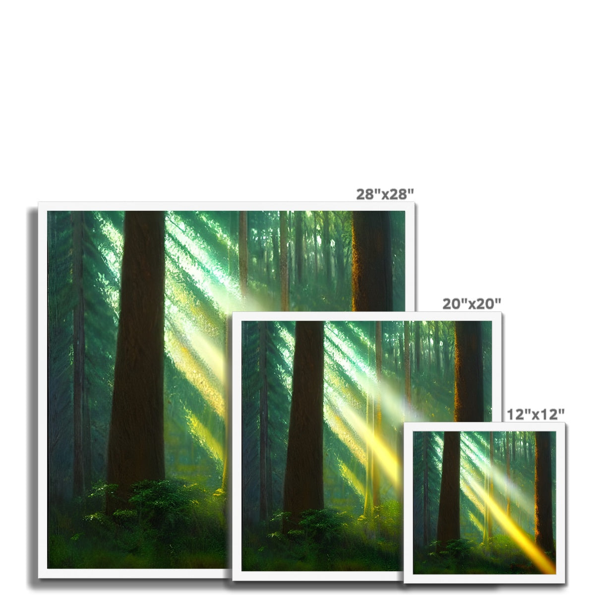 A Ray of Light in the Forest Framed Print Prodigi