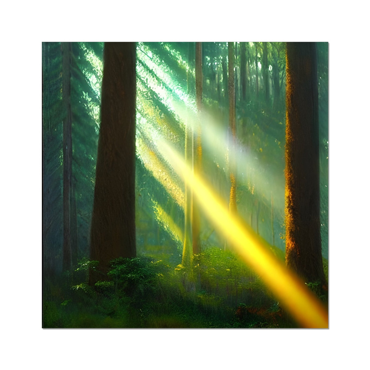 A Ray of Light in the Forest Fine Art Print Prodigi