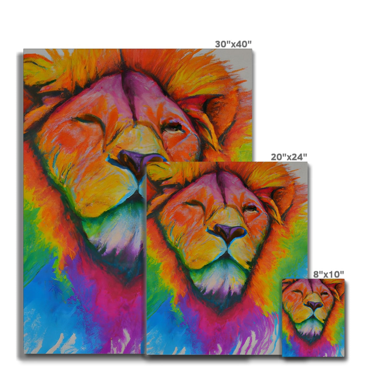 Rainbow Lion Canvas Prodigi