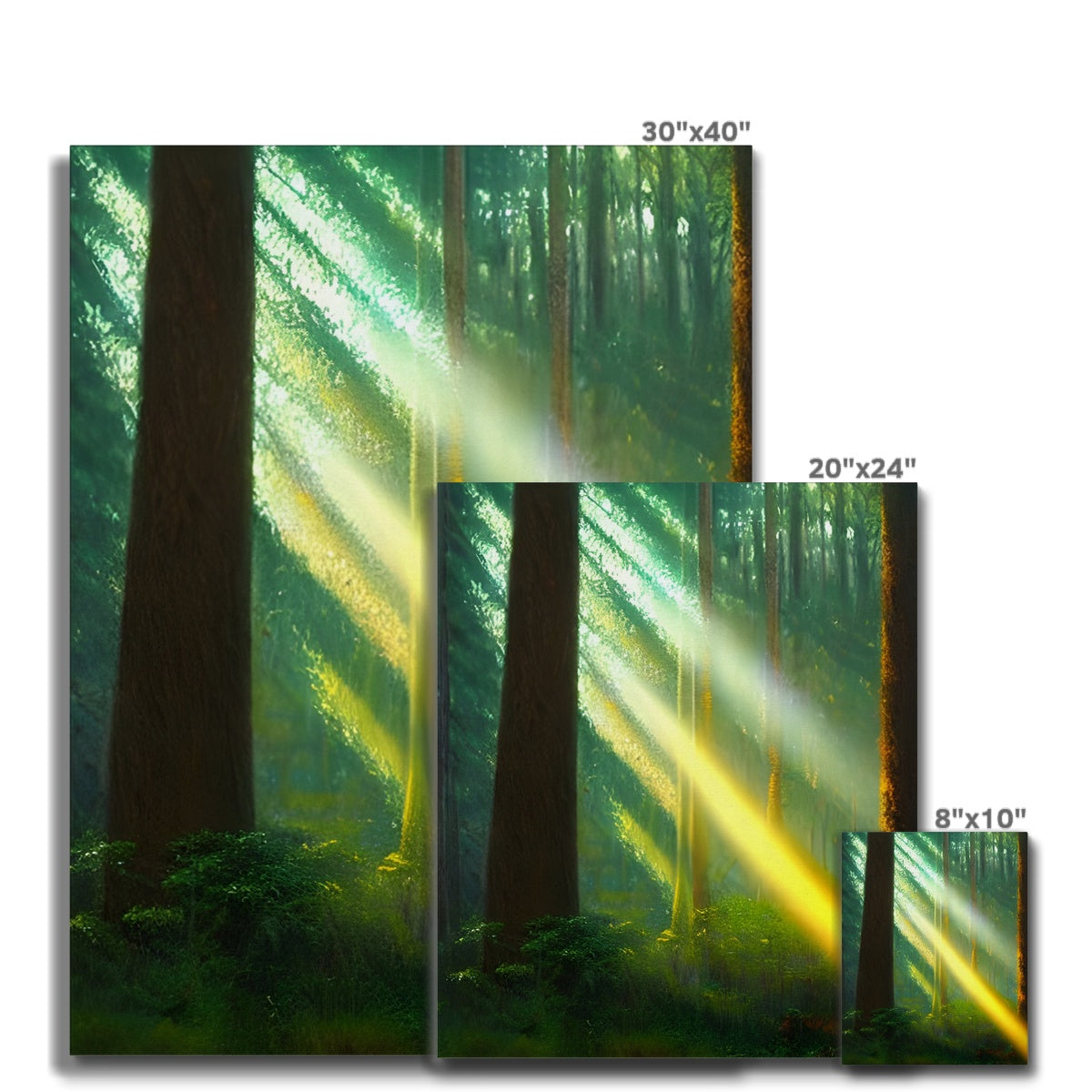 A Ray of Light in the Forest Canvas Prodigi