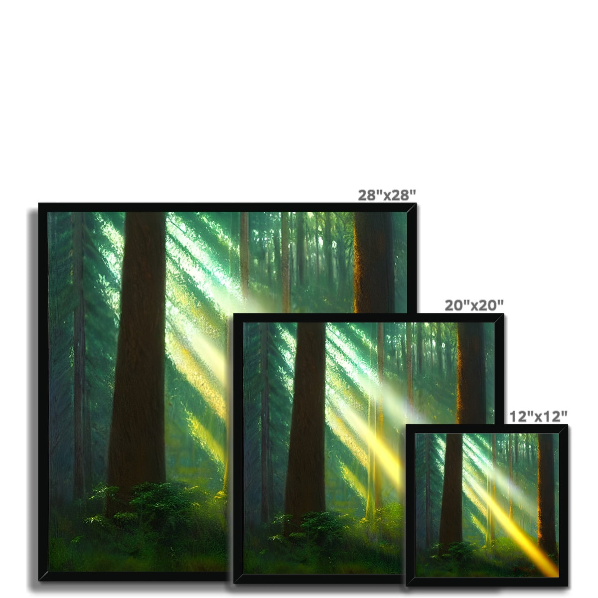 A Ray of Light in the Forest Framed Print Prodigi