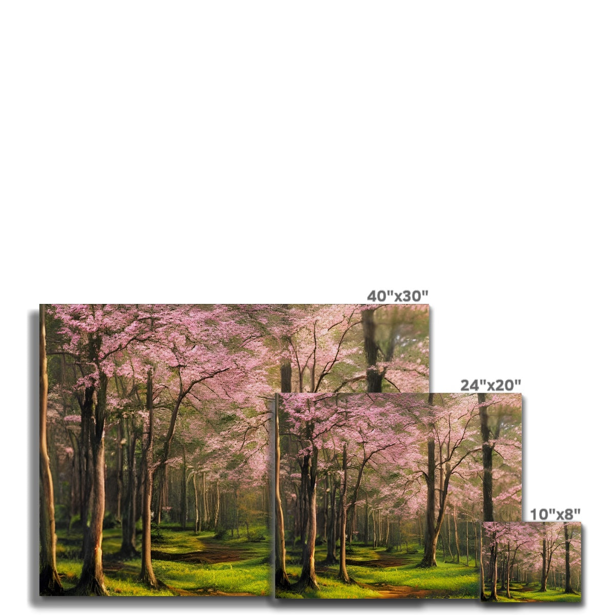 Cherry Blossom in a Forest Canvas Prodigi