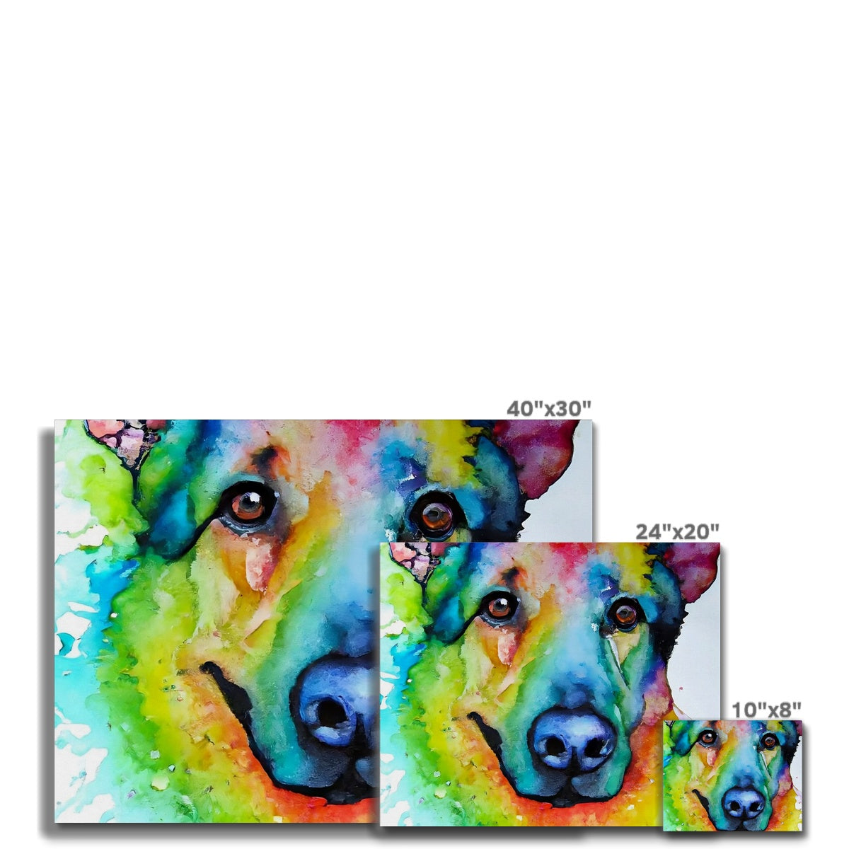 Rainbow Shepherd Dog  Canvas Prodigi