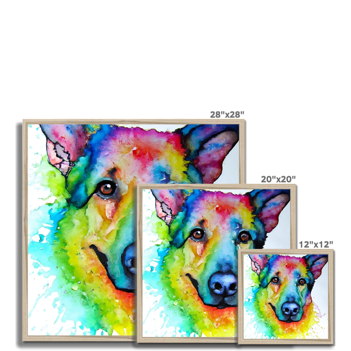 Rainbow Shepherd Dog  Framed Print Prodigi